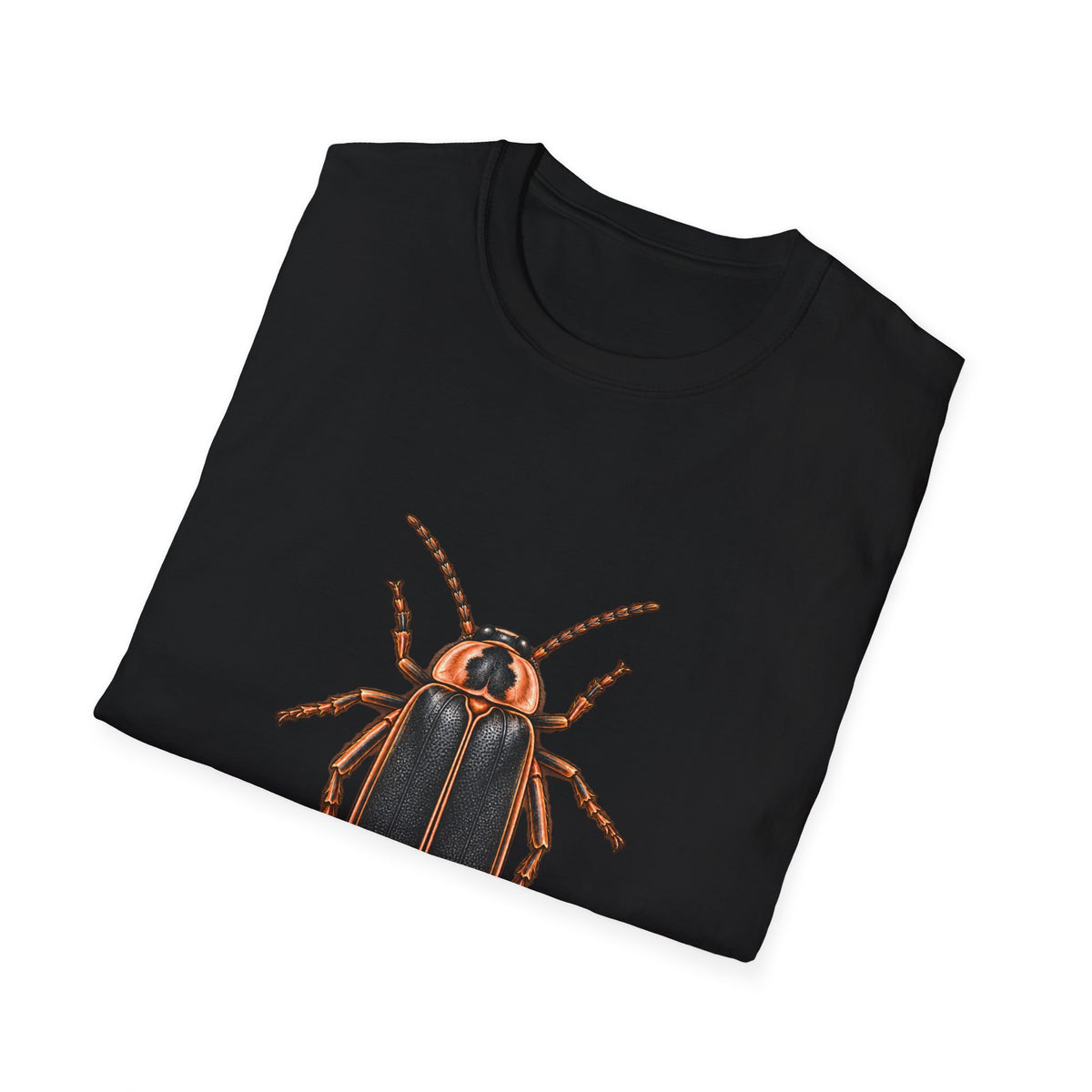 Big Dipper Firefly Natural History T-Shirt