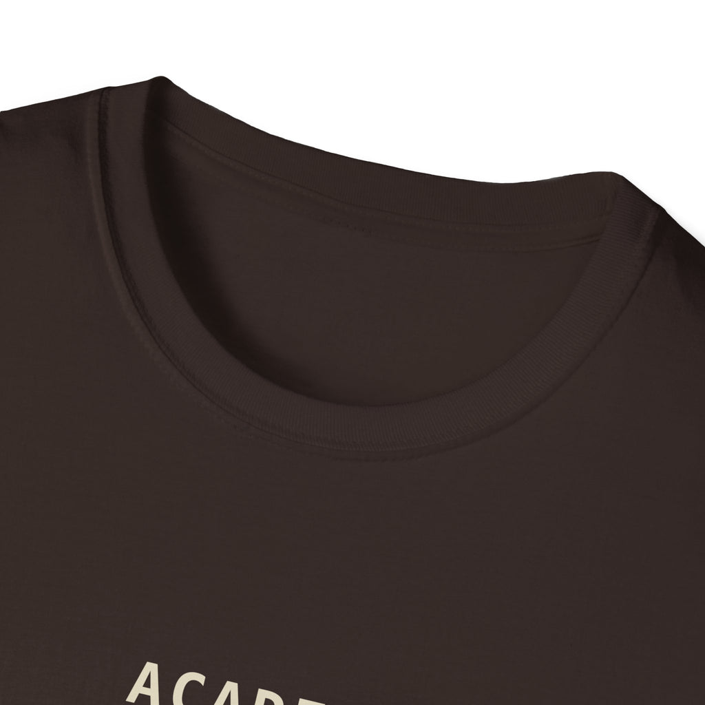 Acadia Cadillac Sunrise National Park T-Shirt