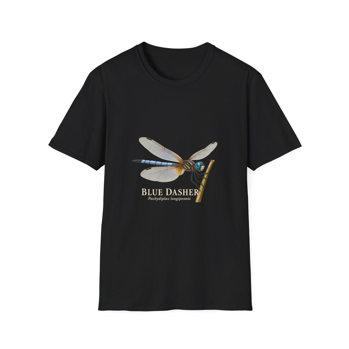 Blue Dasher Dragonfly Entomology T-Shirt