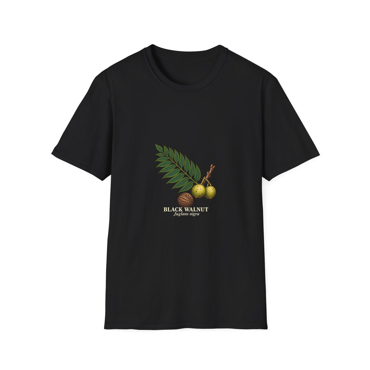 Black Walnut Botanical Study T-Shirt