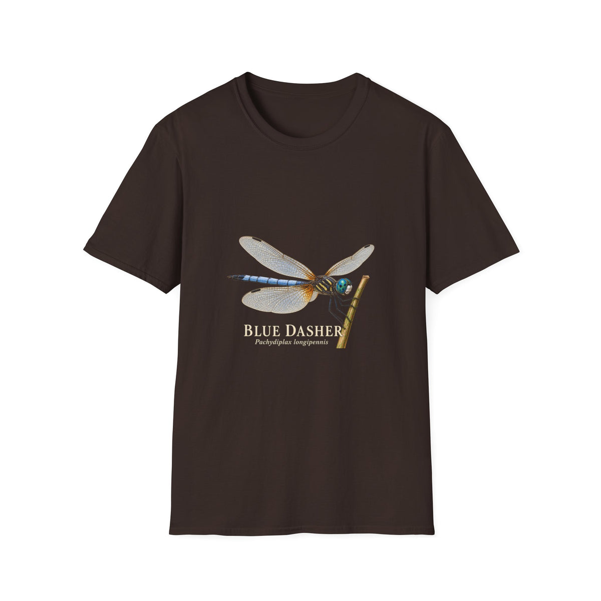 Blue Dasher Dragonfly Entomology T-Shirt