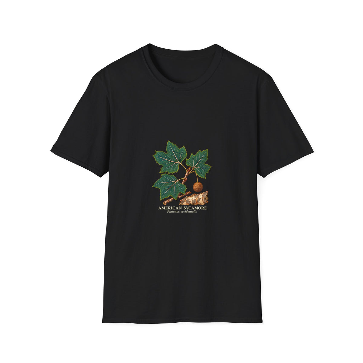American Sycamore Botanical Study T-Shirt