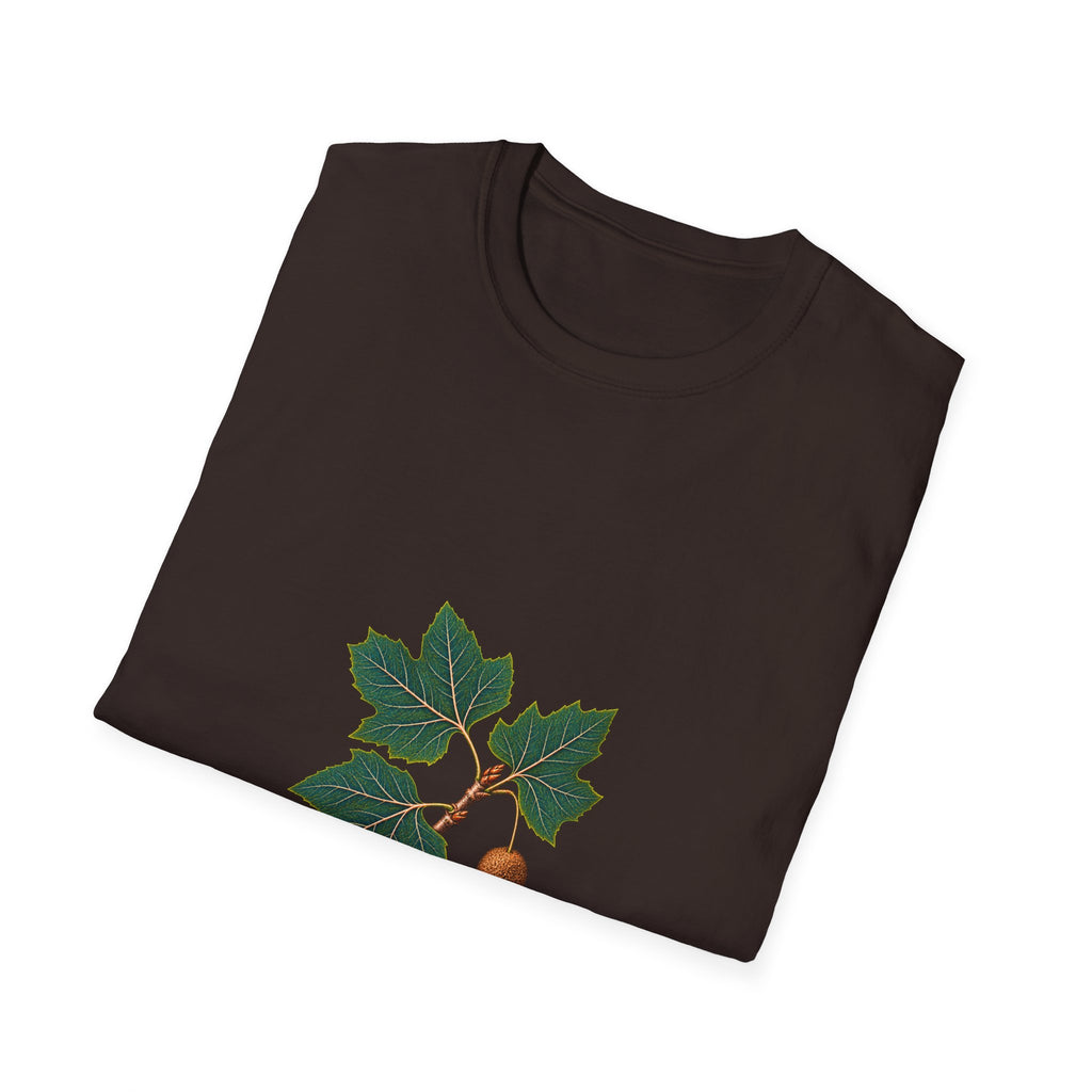 American Sycamore Botanical Study T-Shirt