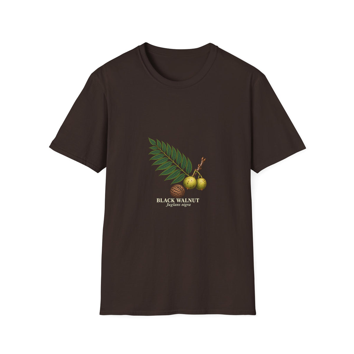 Black Walnut Botanical Study T-Shirt