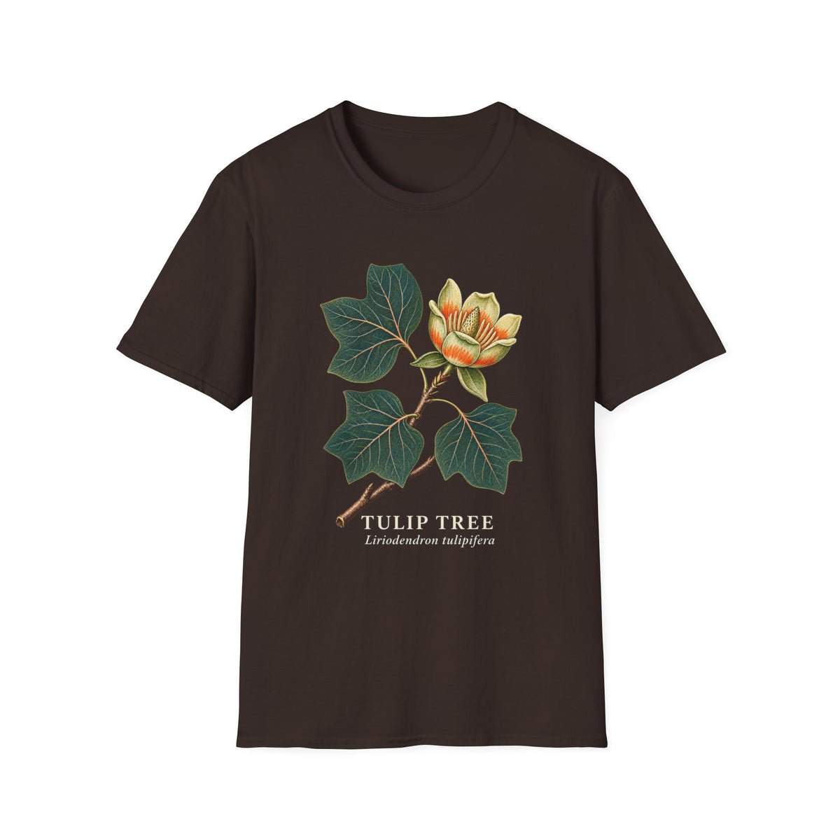 Tulip Tree Botanical T-Shirt | Liriodendron tulipifera