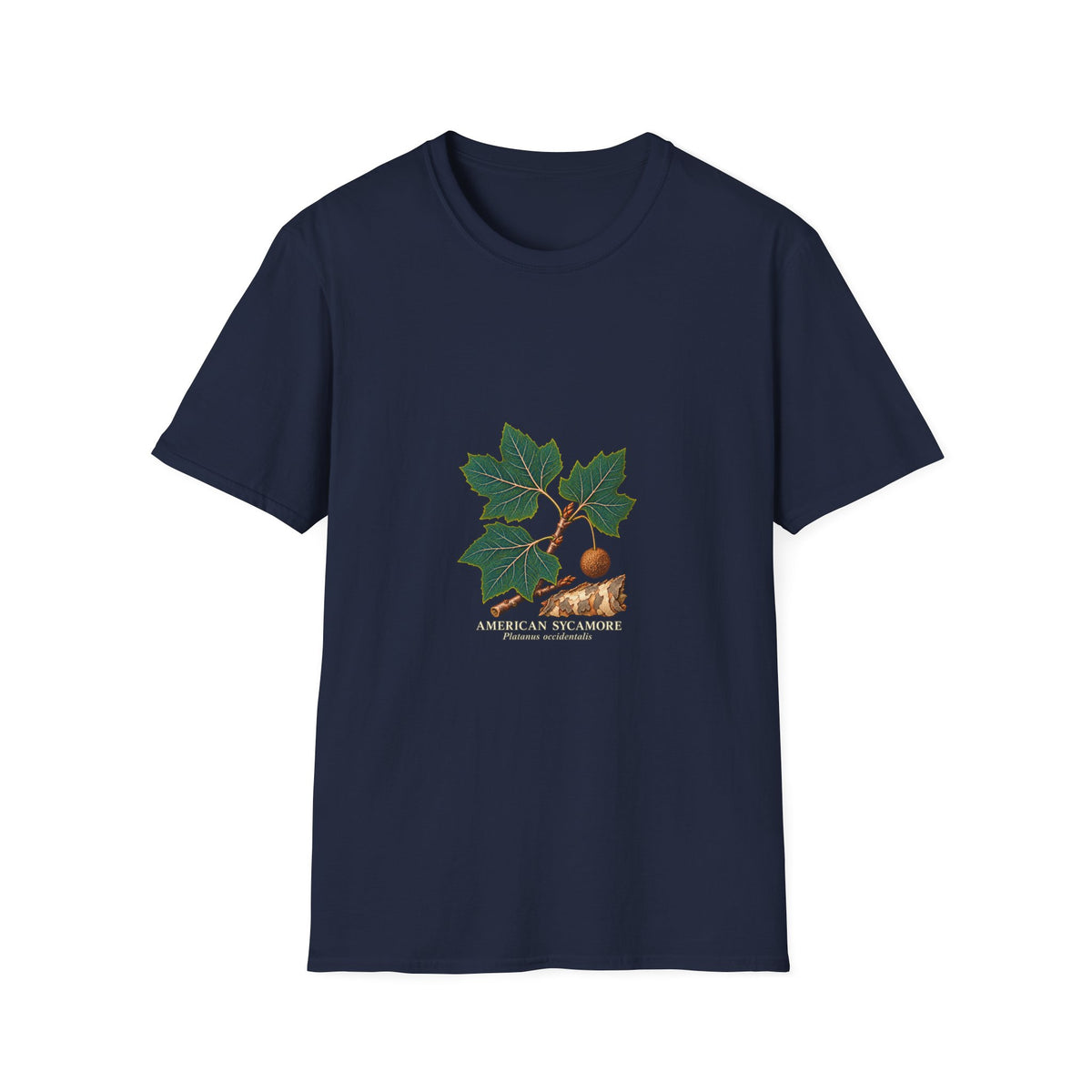 American Sycamore Botanical Study T-Shirt