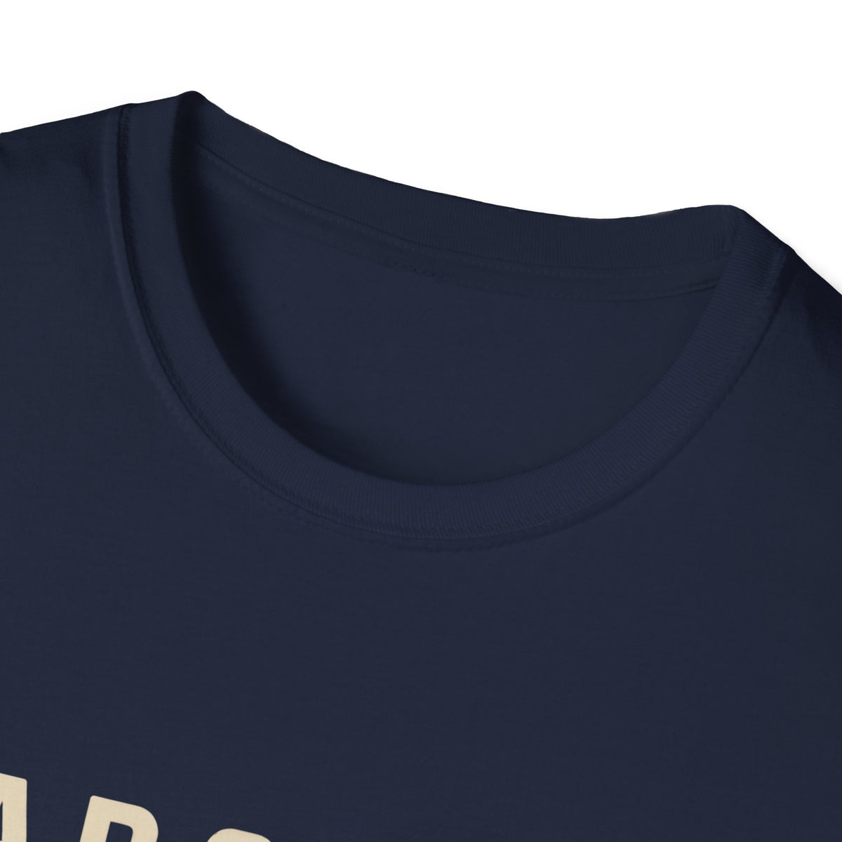 Delicate Arch Graphic T-Shirt | Arches National Park