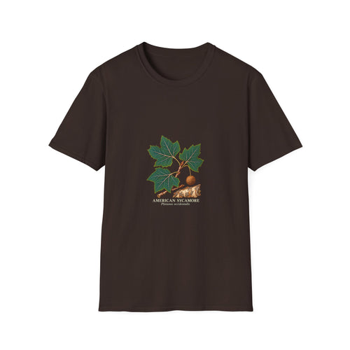American Sycamore Botanical Study T-Shirt