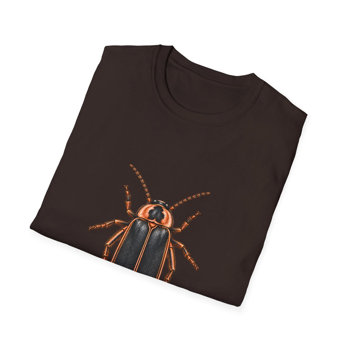 Big Dipper Firefly Natural History T-Shirt
